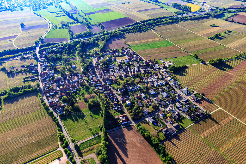 Luftbild: Dorfansicht von Westen dieseits der A65 in Knöringen im Bundesland Rheinland-Pfalz in Deutschland. Foto: IMG_120630.jpg vom 26.04.2020 durch Werner Riehm/FLY-FOTO.de