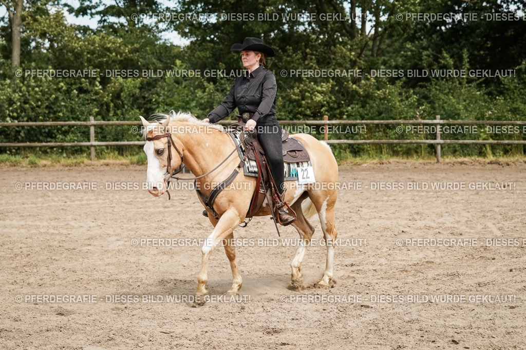 DSC09864 | Pferdegrafie