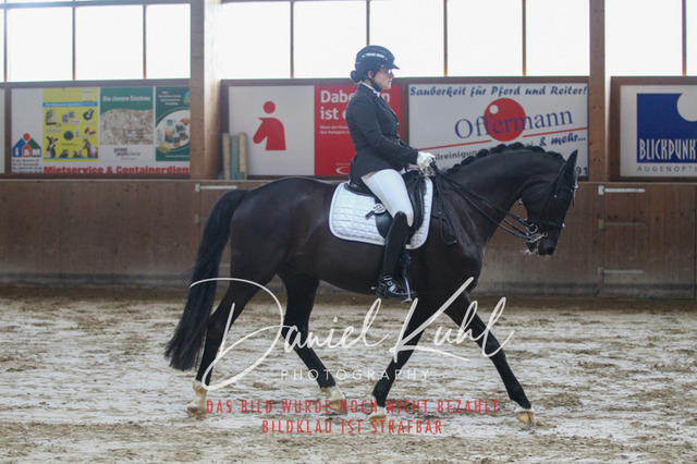 DKP44645 | Turniersportfotografie; Pferdefotografie; Dressurfotografie