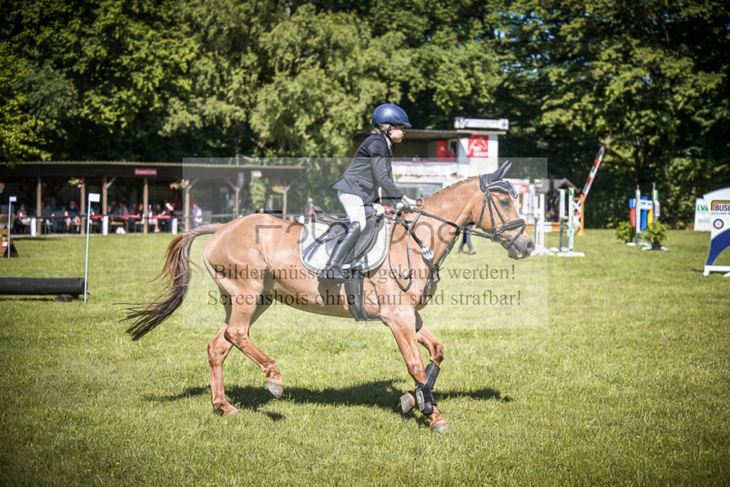 DOS_2473 | Entdecke hochwertige Reitturnierfotos von Foto Oger. Professionell, emotional und authentisch – jetzt Lieblingsmomente im Shop bestellen.Deutschlandweite Turnierfotografie. - Realisiert mit Pictrs.com