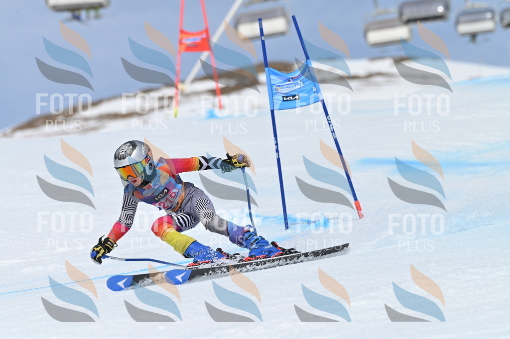 BGV_1304 | holidayphoto