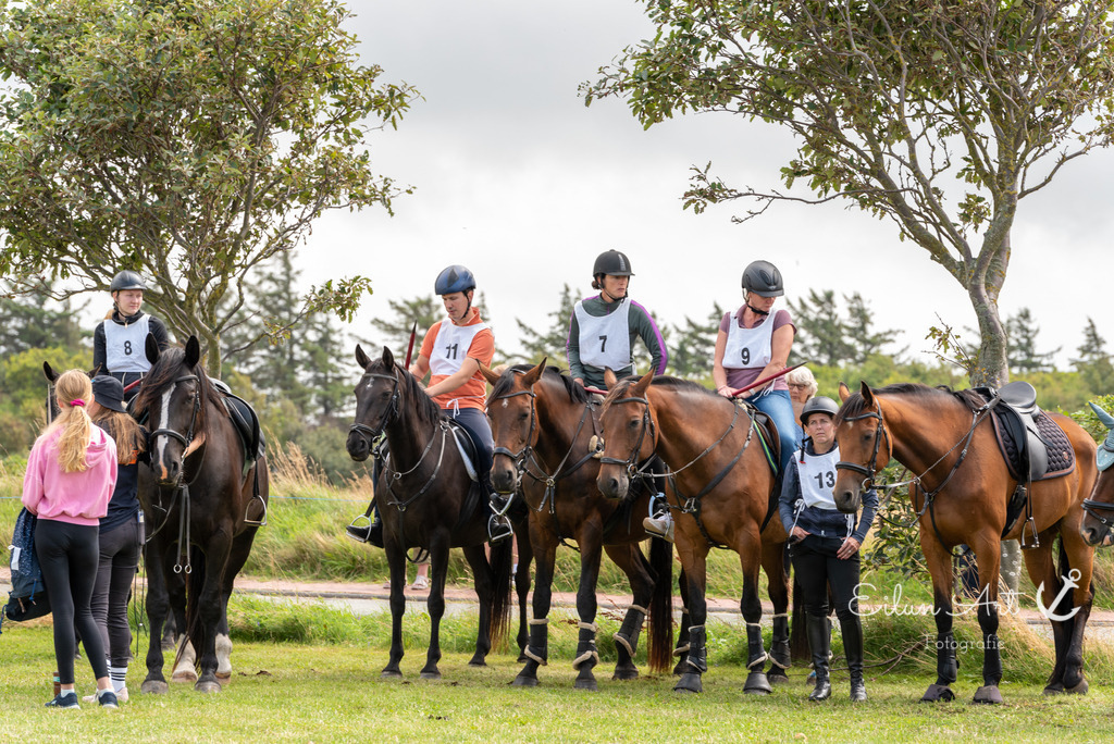 EAF_7308 | Eilun-Art-Fotografie Levke Martens, ihre Fotografin für Immobilien- und Landschaftsfotografie auf Föhr, Föhrer Motive als Poster, Leinwand, hinter Acrylglas oder stelle dir deinen eigenen Monatskalender zusammen, mit nur einem Klick