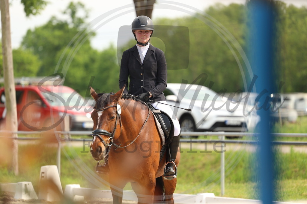 994A7640 | sabrinanicolaifotografie - Realisiert mit Pictrs.com