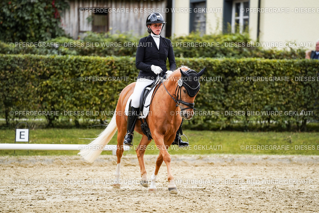 DSC08612 | Pferdegrafie