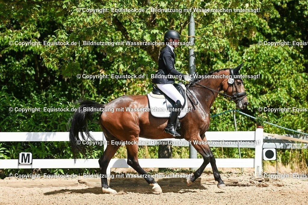 20230715_02_Dressurreiterprüfung Kl.L_0094 | equistock