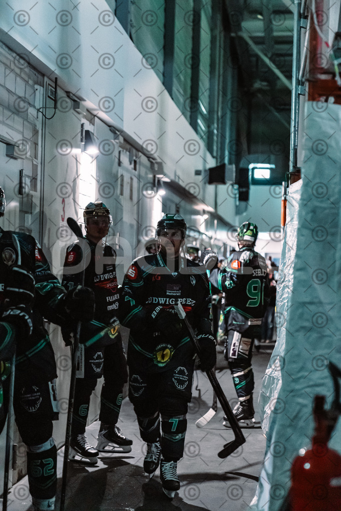 Alligators_vs_Toelz_18_11_2025-13 | Höchstadt Alligators Fotogalerie: Eishockey-Action aus Franken. Professionelle Spielfotos, Portraits & Stadionbilder zum Download. Jetzt entdecken! - Realisiert mit Pictrs.com