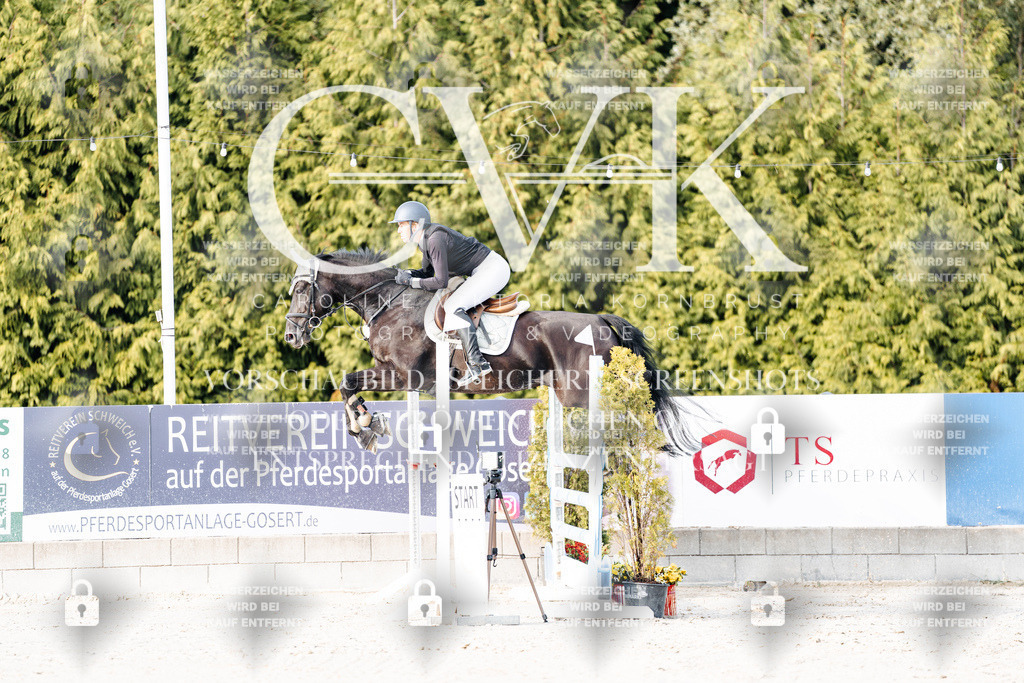 CK903217 | Turnierfotografie Pferdefotografie Trier Rheinland-Pfalz Pferdesport Reitsport Tierfotografie Sportfotografie Pferdevideo Pferdevideografie Equestrianvideography equestrianphotography  - Realisiert mit Pictrs.com