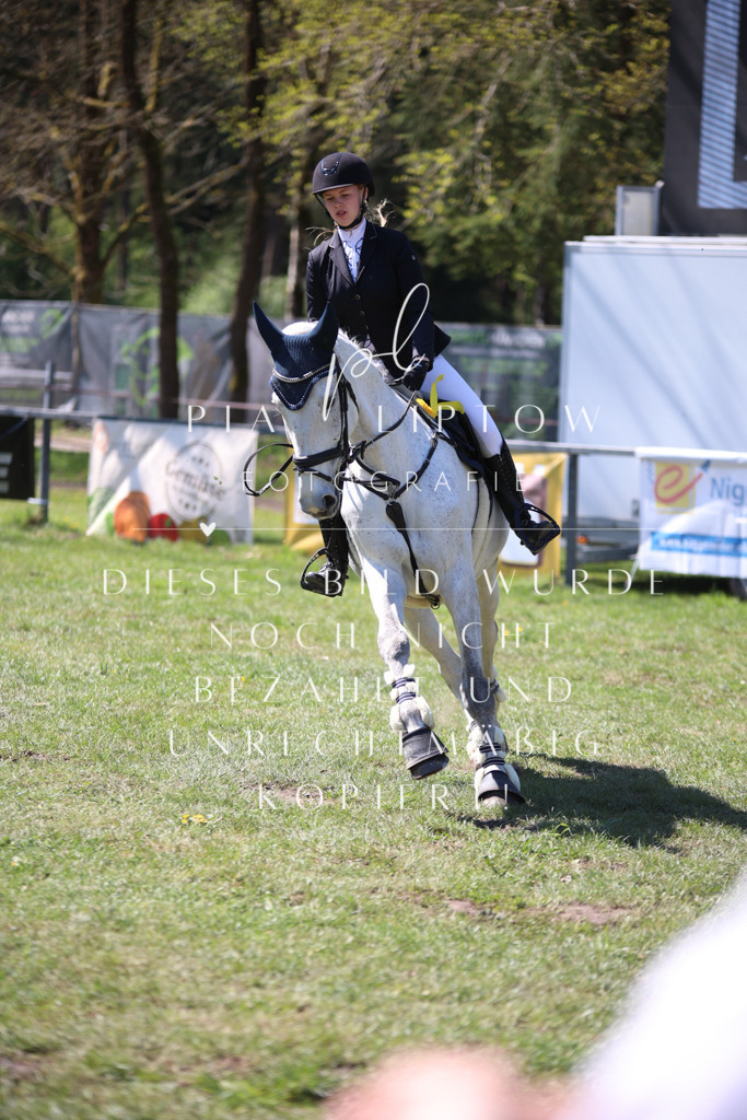 IMGT8255 | pl-fotografie