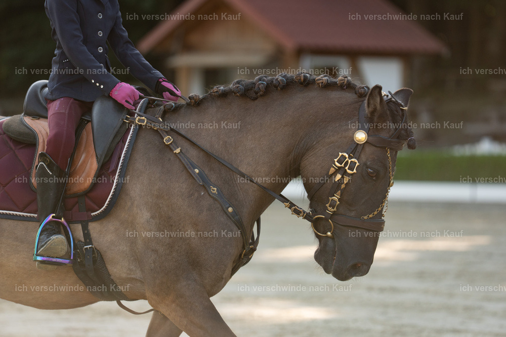WA_DR_9_SinaFilmArt_IN00195 | working equitationturnier fotograf videograf stoibphotography marixx film working equitation deutschland reitsport turnierfotografie eventfotografie equestrian events