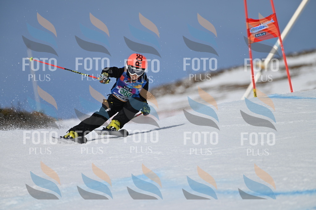 BGV_7234 | holidayphoto