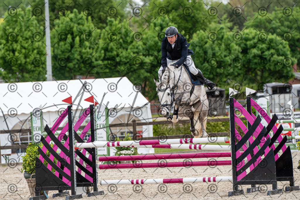 KPT_8576 | andre_photographic