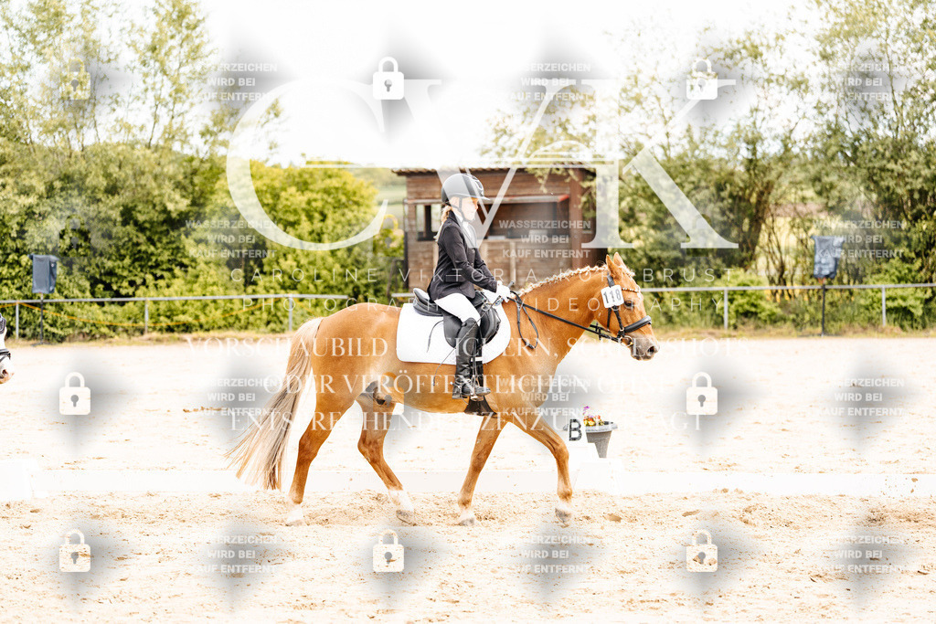 CK904462 | Turnierfotografie Pferdefotografie Trier Rheinland-Pfalz Pferdesport Reitsport Tierfotografie Sportfotografie Pferdevideo Pferdevideografie Equestrianvideography equestrianphotography  - Realisiert mit Pictrs.com