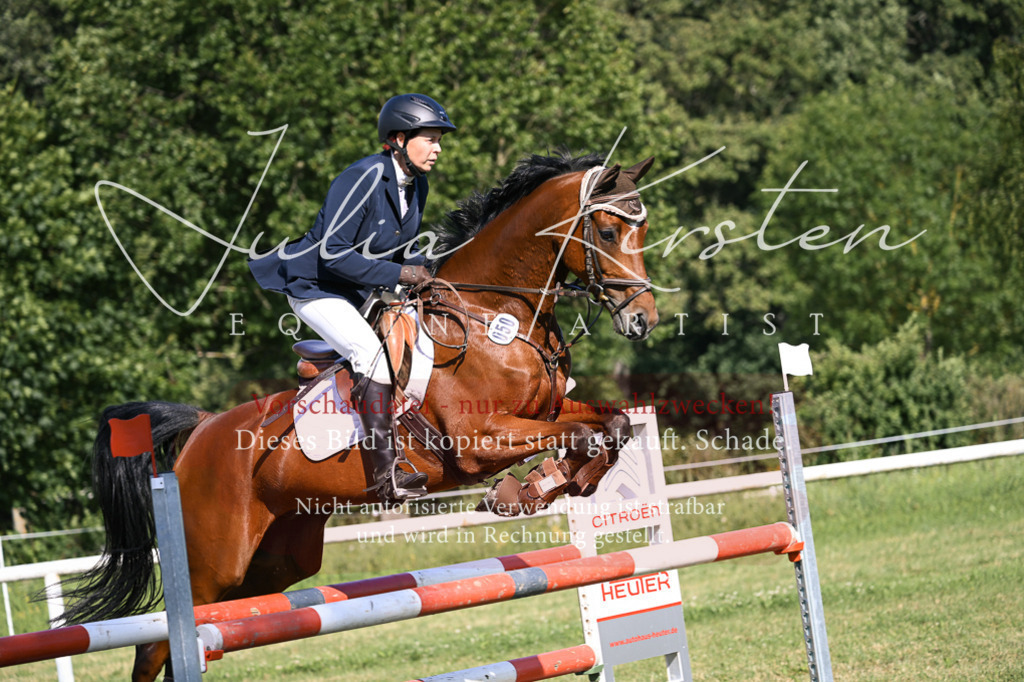 DSC_1250 | Pferde- und Turnierfotografie in Westsachsen. Pferdeportraits, Auftragszeichnungen und intuitive Kunst.