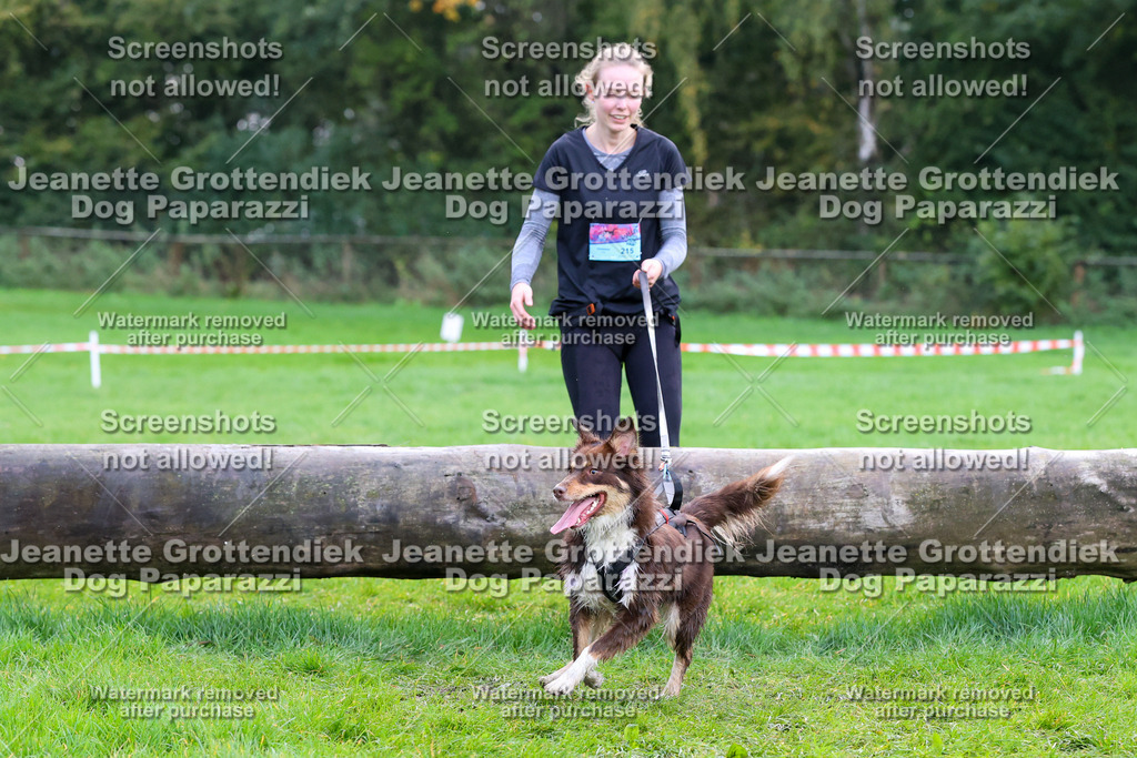Dog Paparazzi -  SD1026-2092 | Dog Paparazzi Jeanette Grottendiek Fotografie & Videografie - Realisiert mit Pictrs.com