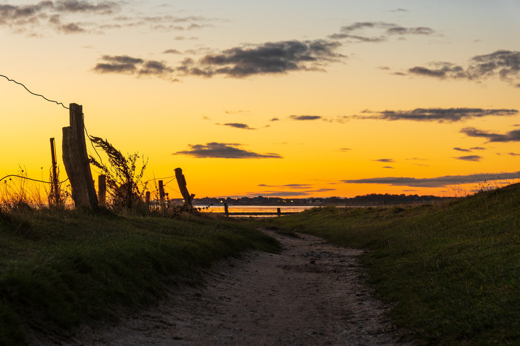 Weg zum Wattenmeer morgens auf der Nordseeinsel Amrum | Weg zum Wattenmeer morgens auf der Nordseeinsel Amrum.
