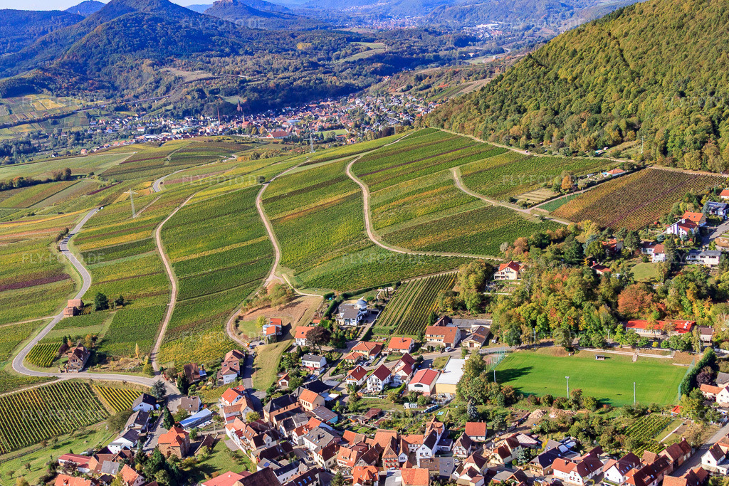 Luftbild: Weinlage Haardtrand-Käfernberg in Frankweiler im Bundesland Rheinland-Pfalz in Deutschland. Foto: IMG_22282.jpg vom 15.10.2009 durch Werner Riehm/FLY-FOTO.de
