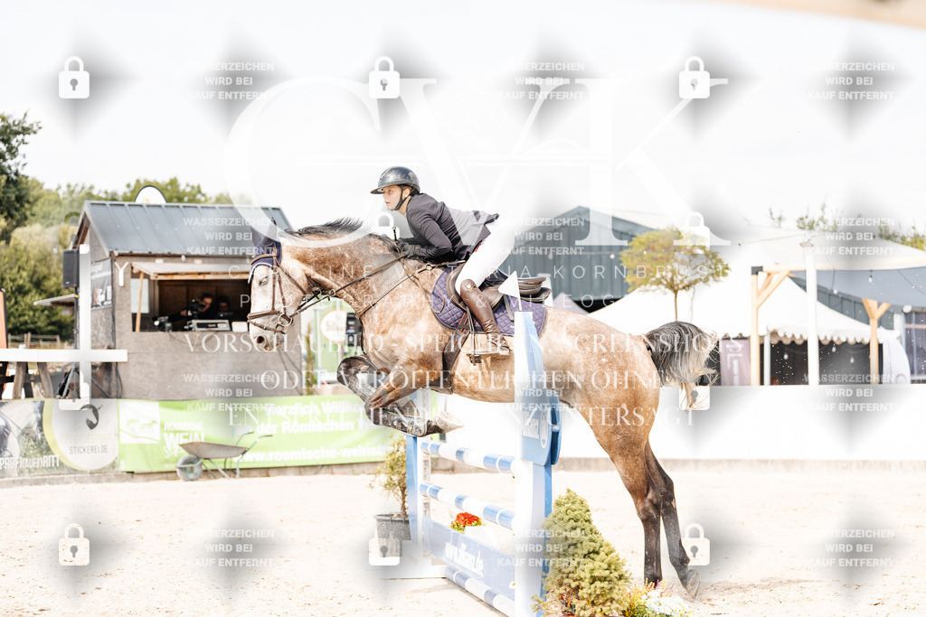 CK909008 | Turnierfotografie Pferdefotografie Trier Rheinland-Pfalz Pferdesport Reitsport Tierfotografie Sportfotografie Pferdevideo Pferdevideografie Equestrianvideography equestrianphotography  - Realisiert mit Pictrs.com
