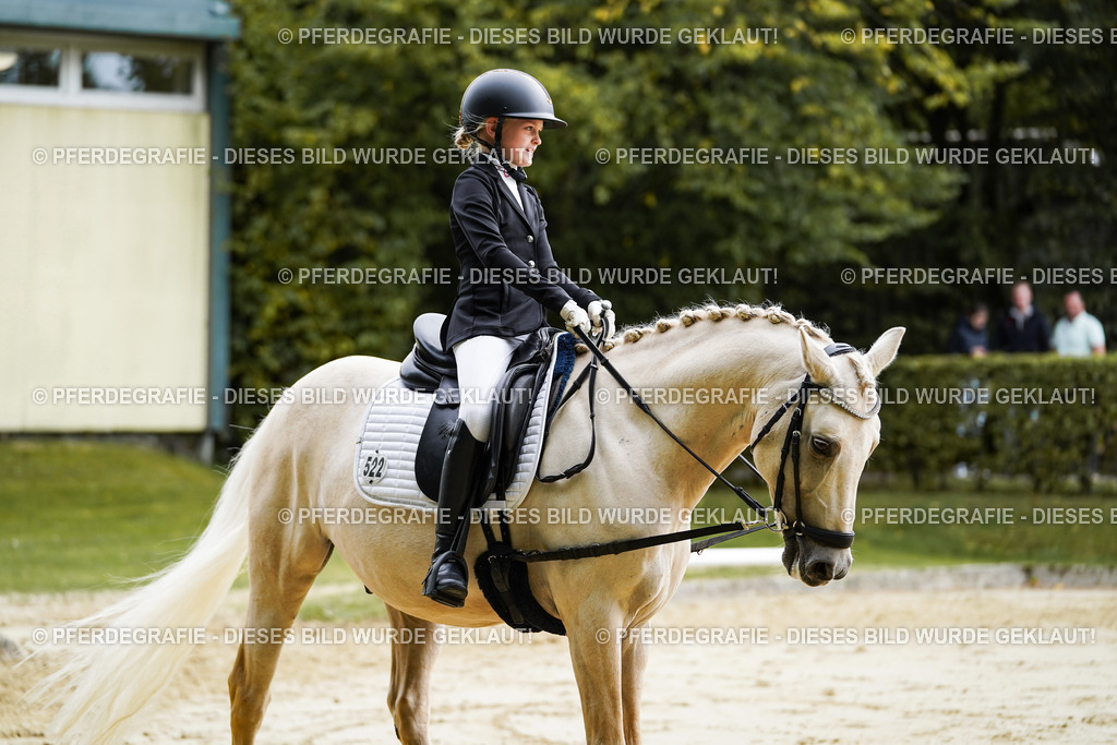 DSC05076 | Pferdegrafie