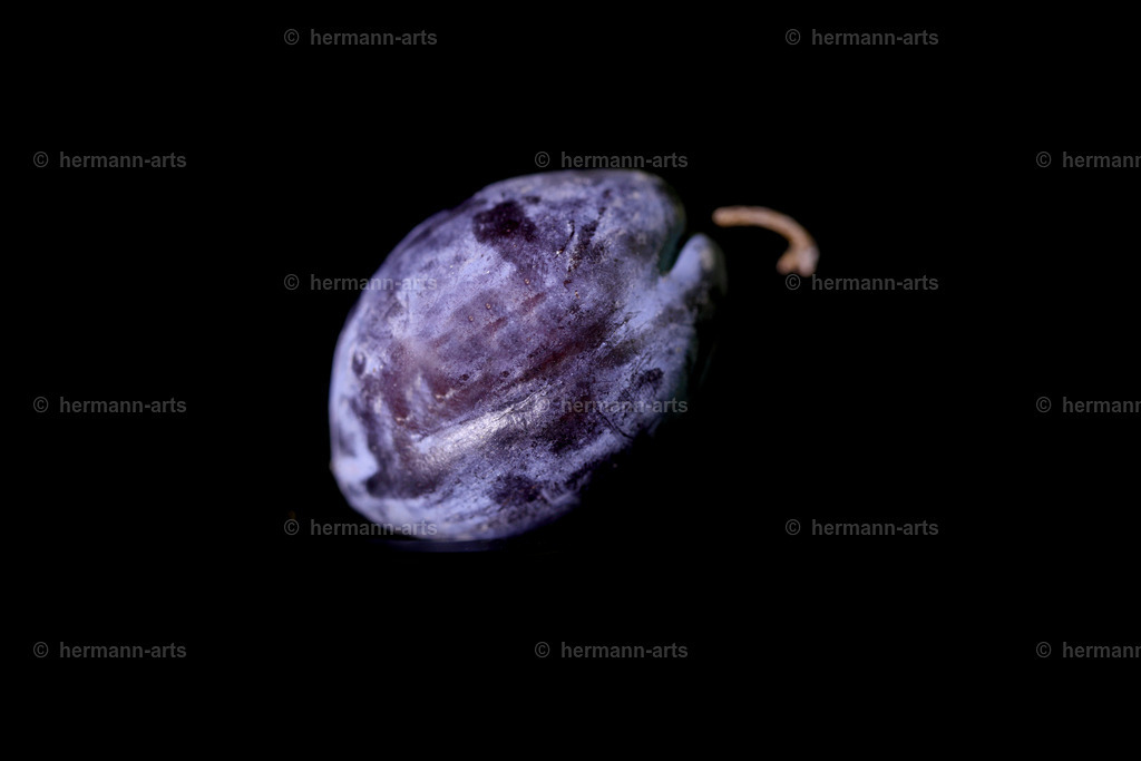 Fruits-Art-055 | Photo Foto Kunst Art schwarzweiss Bilder Rheine Münster Berlin Blumen 