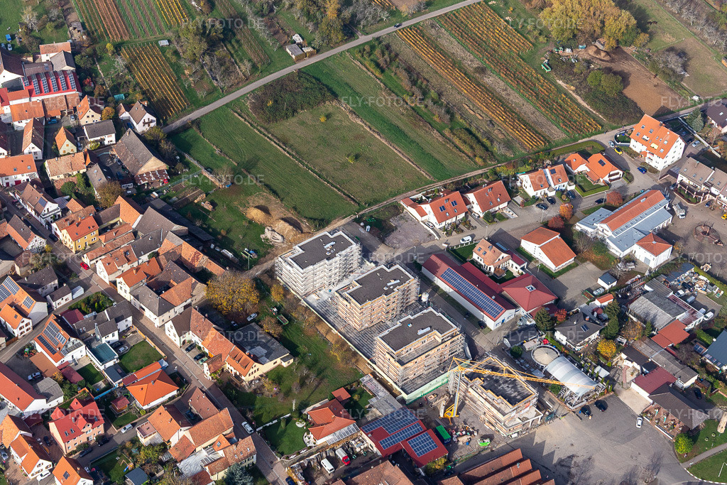 Luftbild: Sylvanerstr im Ortsteil Schweigen in Schweigen-Rechtenbach im Bundesland Rheinland-Pfalz in Deutschland. Foto: IMG_123793.jpg vom 07.11.2020 durch Werner Riehm/FLY-FOTO.de