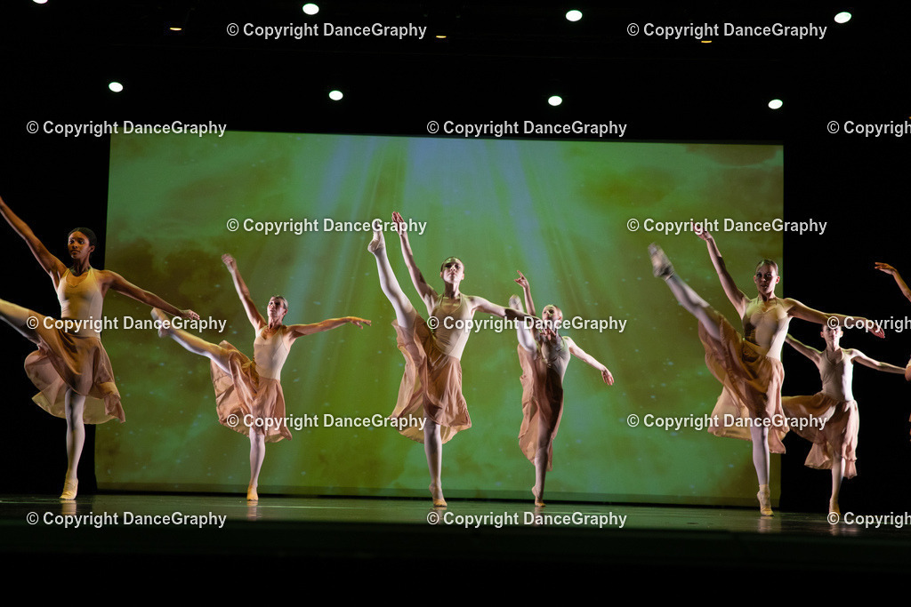 GPHY6307 | DanceGraphy - Realisiert mit Pictrs.com