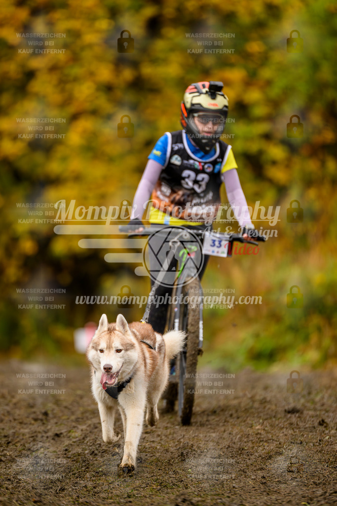 MompixPhotography_ICF_WC_2024_SA_DS_-75 | PayLife