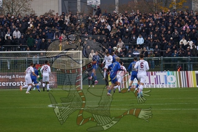 Delay Sports Berlin vs. BFC Dynamo 025 | mythos-online-redaktion