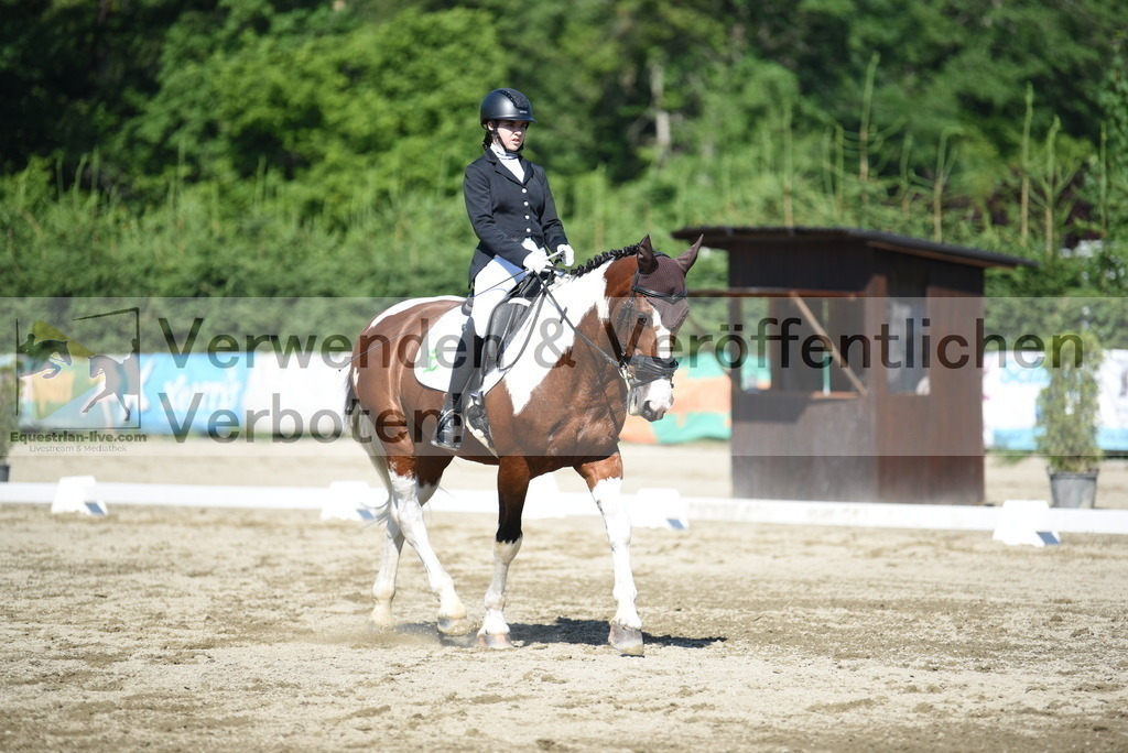 DSC_7686 | equestrian-live-com