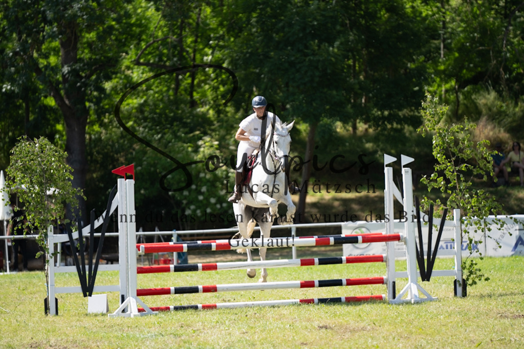 A7V06438 | Pferdefotograf