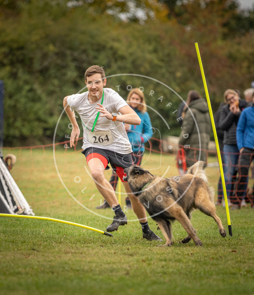Pfotenfotografie_DV3A7361 | Hundefotografie, Tierfotograf, Pfotenfotografie, Fotoshooting Hund, Hunde Portrait, Hundesport, Hundeportraits, Heideshooting, Hunde, Sportfotograf, Hundefotograf, Turnierhundsport, THS,  - Realisiert mit Pictrs.com