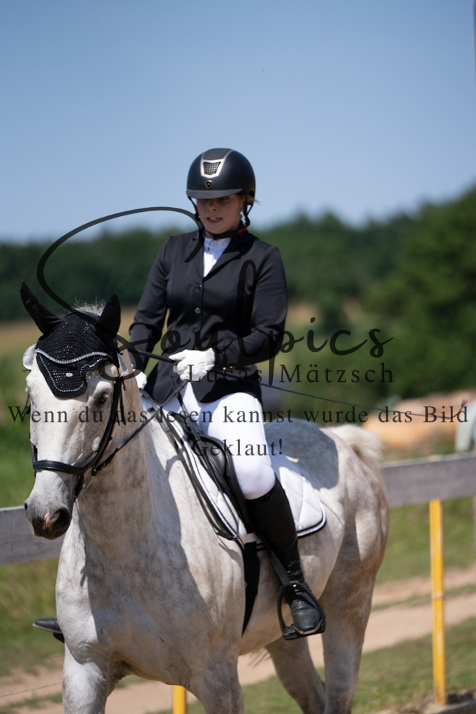 A7V08062 | Pferdefotograf