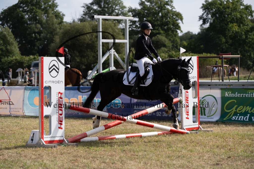 A7V08522 | Pferdefotograf