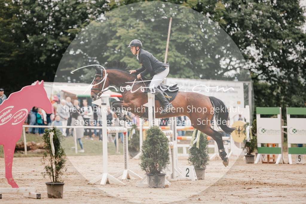3I6A2147 | Stimmungsvolle Portraits und Reitsportfotografie im Ruhrgebiet und im Münsterland.

Pferdefotografie, Hundefotografie, Tierfotografie, Reportagen, Portraits von Tier und Mensch, Turnierfotografie in Bochum, Recklinghausen, Marl, Haltern am See, Dülmen.. - Realisiert mit Pictrs.com