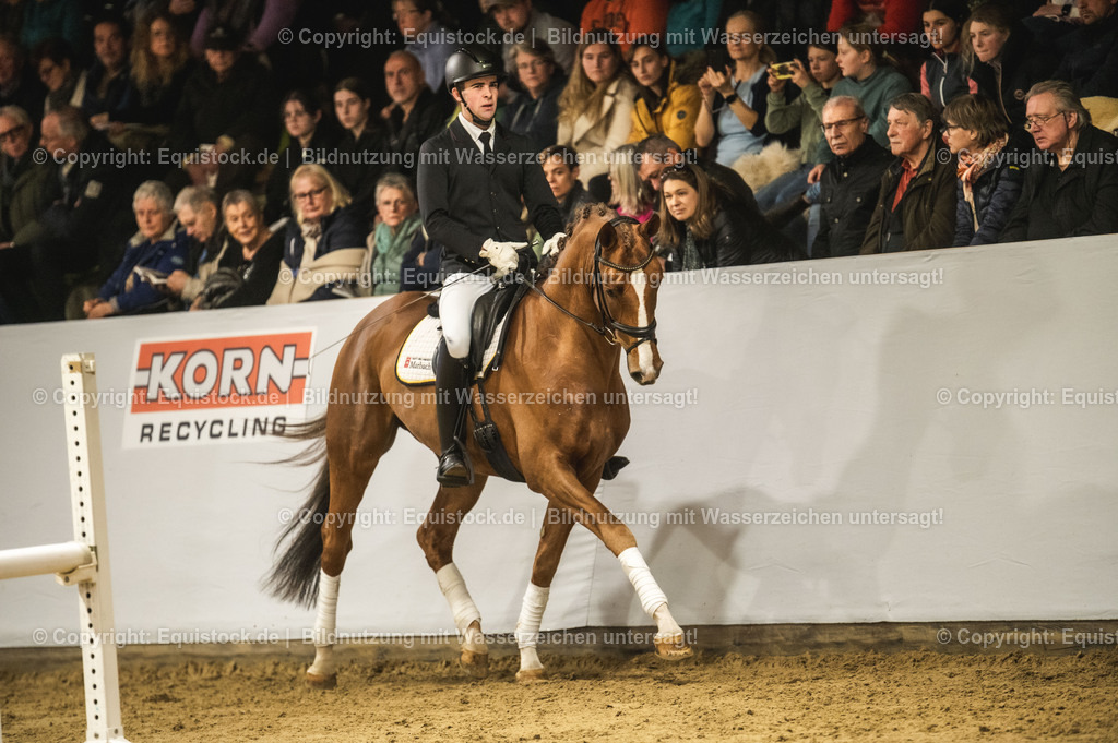 20240302_Hengstvorstellung_Marbach_TOMsPiC_0335-2 | equistock