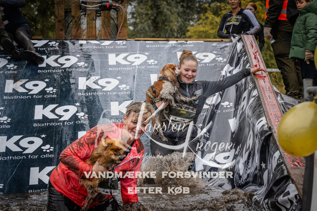 1210_ZZ94542 | kk-dogfotos