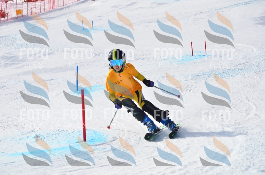 C7764 | holidayphoto