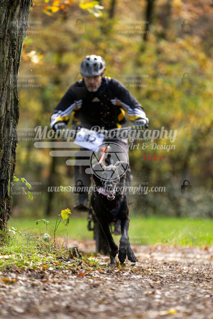 MompixPhotography_Bischwiller23_Bike-22 | mompixphotography