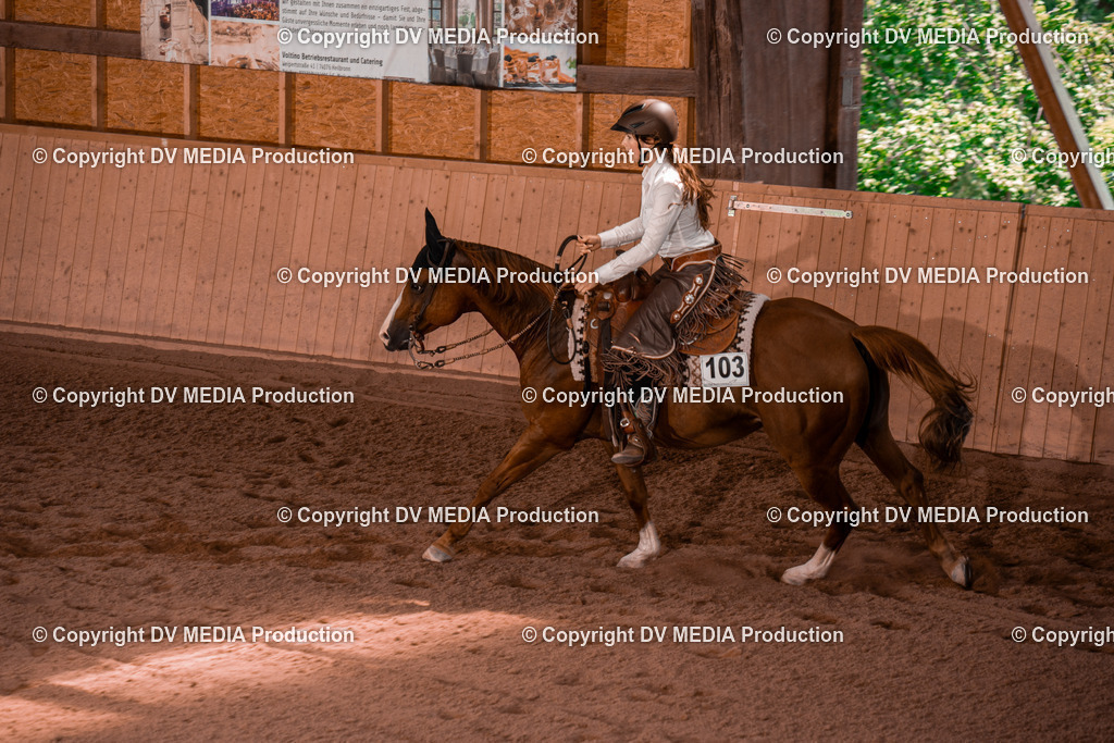 NE300374 | dv-media-shop - Realisiert mit Pictrs.com