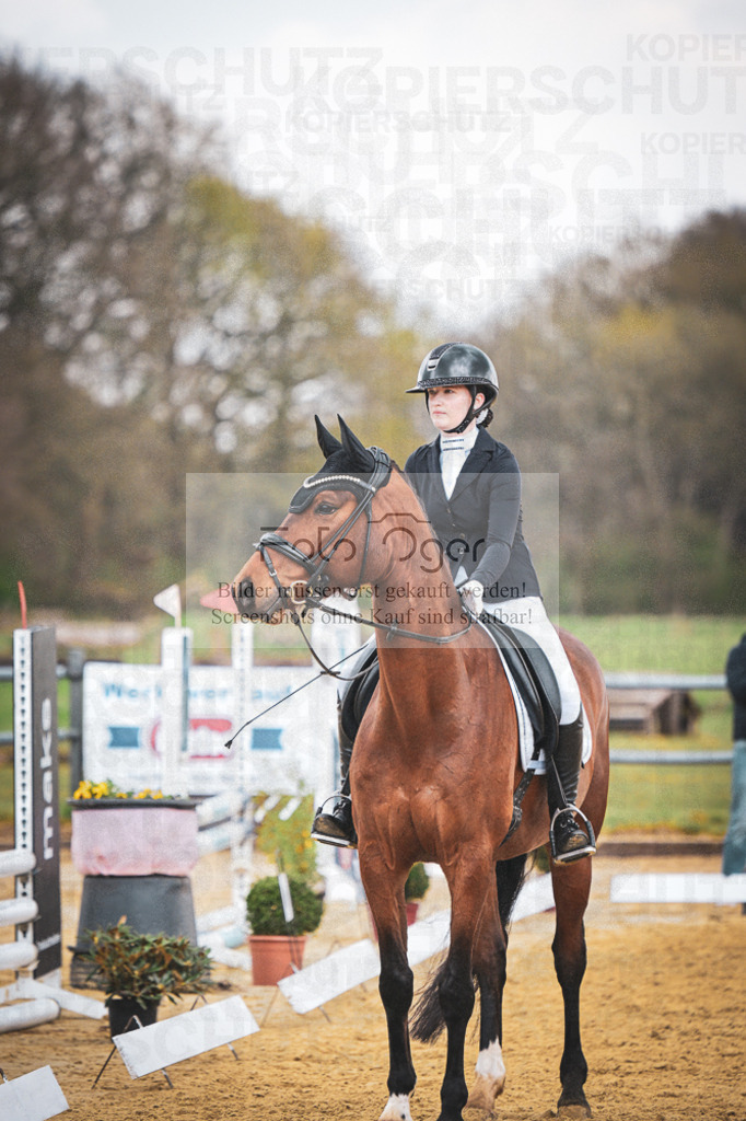 DOS_7596 | Entdecke hochwertige Reitturnierfotos von Foto Oger. Professionell, emotional und authentisch – jetzt Lieblingsmomente im Shop bestellen. - Realisiert mit Pictrs.com