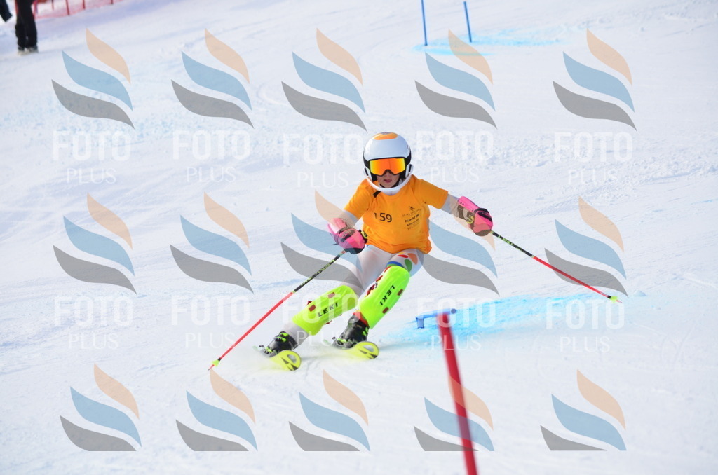 C7826 | holidayphoto