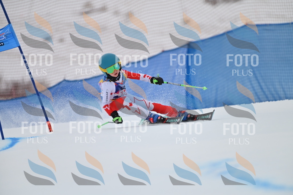 BGV_1072 | holidayphoto