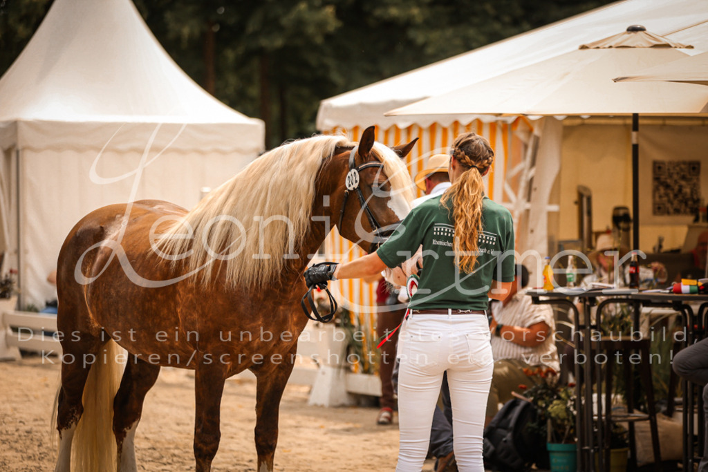 5.Sa00053 | Leoni Ertmer Photography - Realisiert mit Pictrs.com