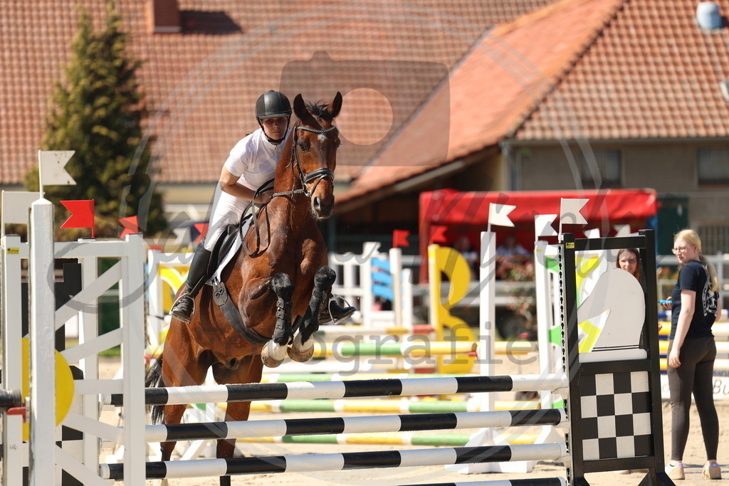 994A5771 | sabrinanicolaifotografie - Realisiert mit Pictrs.com