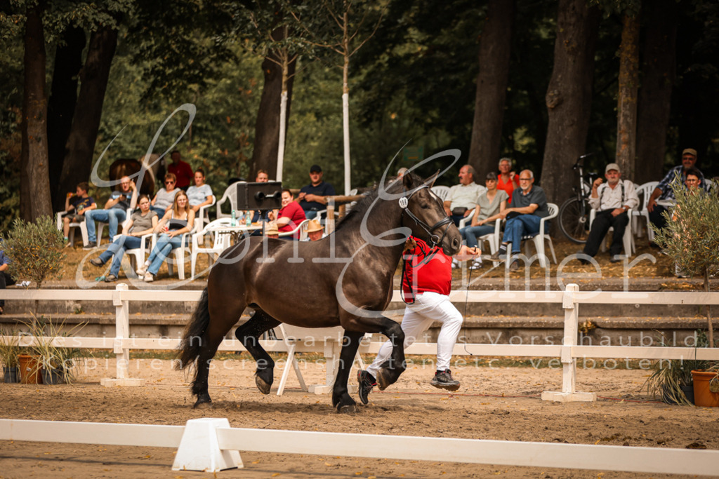 4.Sa00051 | Leoni Ertmer Photography - Realisiert mit Pictrs.com