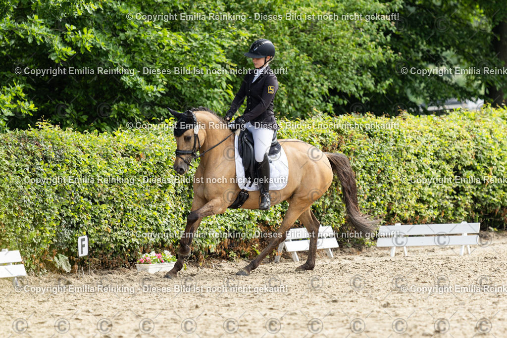 CL5A5332 | Emilia Reinking Fotografie - Realisiert mit Pictrs.com