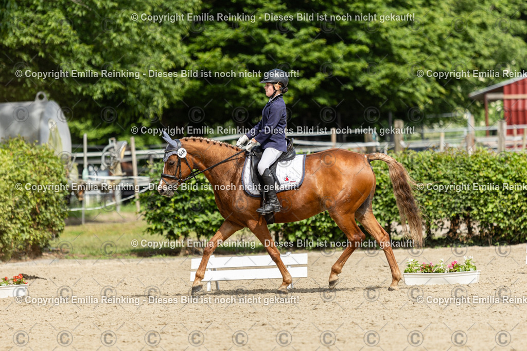 CL5A1318 | Emilia Reinking Fotografie - Realisiert mit Pictrs.com