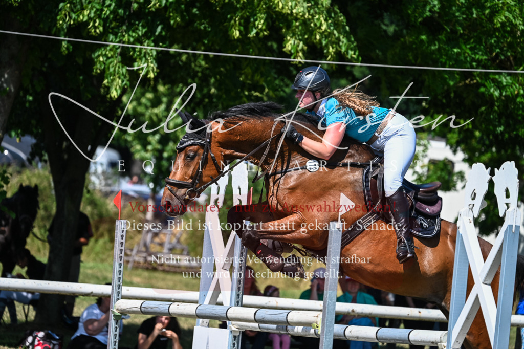 DSC_1517 | Pferde- und Turnierfotografie in Westsachsen. Pferdeportraits, Auftragszeichnungen und intuitive Kunst.