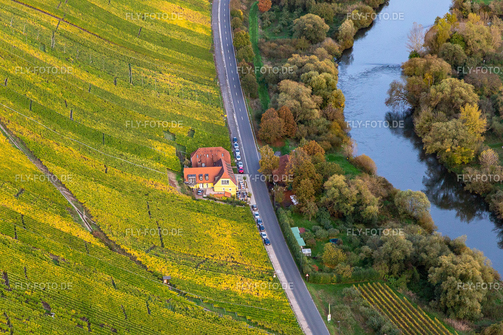 Gasthaus Mainaussicht Gifthütte | Luftbild: Gasthaus Mainaussicht Gifthütte im Ortsteil Escherndorf in Volkach im Bundesland Bayern in Deutschland. Foto: IMG_119464.jpg vom 25.10.2019 durch Werner Riehm/FLY-FOTO.de - Realisiert mit Pictrs.com