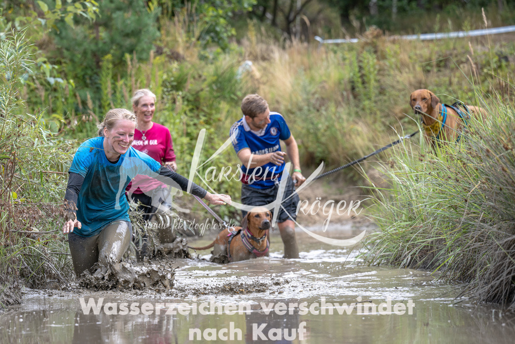 1243_ZZ91224 | kk-dogfotos