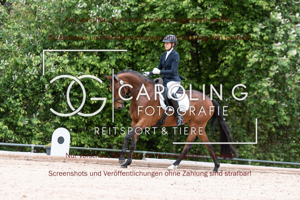 DSC_7013 | Turnierfotografin Carolin Gieschke,Reitsport Turnierfotografie Carolin G Fotografie | Turnierfotos aus Kirchheim/Teck, Esslingen, Stuttgart und dem Bodenseekreis